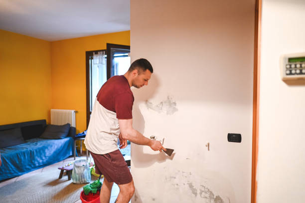 Best Residential Mold Remediation in Gilbert, AZ